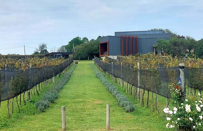 Excursão pelas vinícolas do Valle de Calamuchita - Photo 4