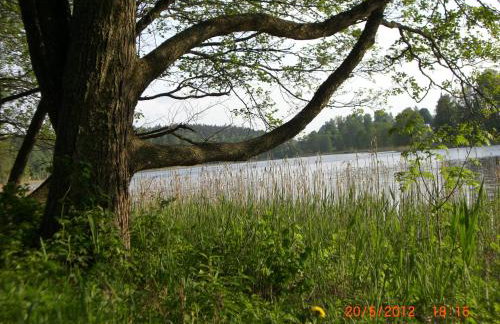 Domek Moczykija - Foto 48