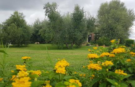 Casa Santina - Foto 15