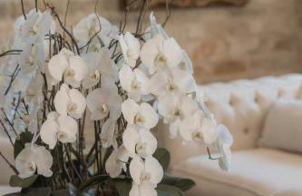 Sunstone Villa - Foto 15