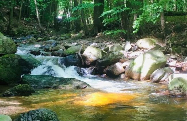 Villa _master Suite Comfortable Vacation Home - Foto 10