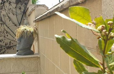 Finca Olivar de Castilla - Sun&Colors - Foto 57