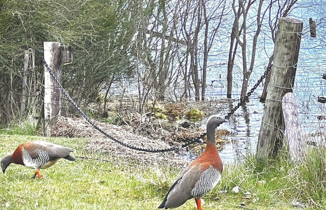 Amazing Cabin on the Shore of Lake Moreno H58 by Apartments Bariloche - Photo 46
