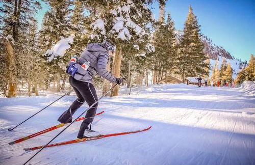 Mammoth Green - 207 - Foto 41