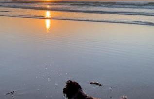 1 Putsborough - Luxury Apartment at Byron Woolacombe, only 4 minute walk to Woolacombe Beach! - Foto 21