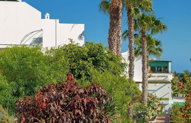 Apartamentos Camels Spring - Foto 47