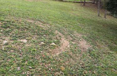 3BR Pet Friendly Cottage Mathias WV - Foto 28