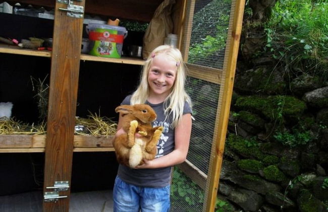 Apartment in Hofstetten Surrounded by Nature - Foto 11