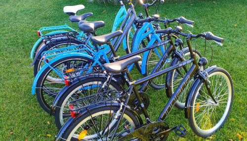 Przystań Nad Miążką - Foto 3