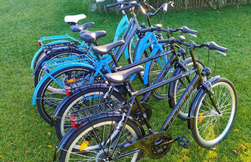 Przystań Nad Miążką - Foto 3