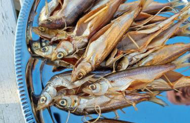 Domek Letniskowy ZŁOTY KARAŚ - Foto 35