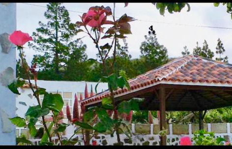 Casa Rural Finca Paraíso. Heated pool - Foto 12