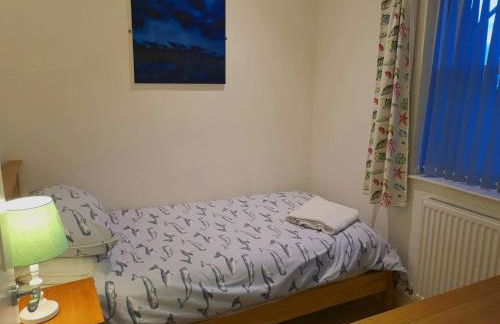 Seashell Tenby - Photo 11