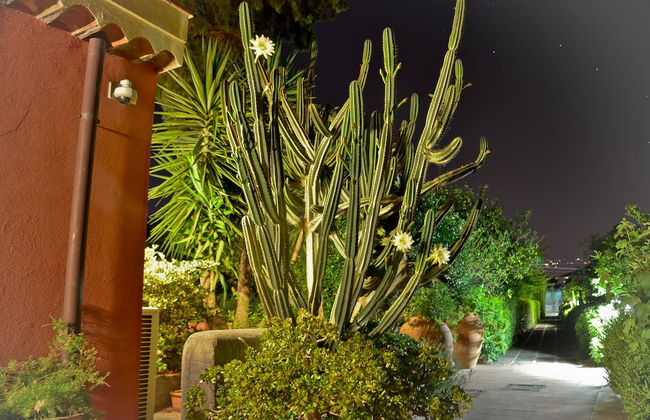 La Terra del Mezzo - Foto 40