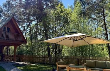 Strużka Kaszuby - Leśniczówka w sercu Borów Tucholskich - Foto 17