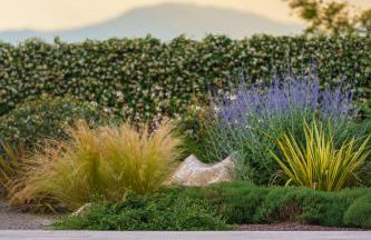 Villa Blumarine - Photo 31