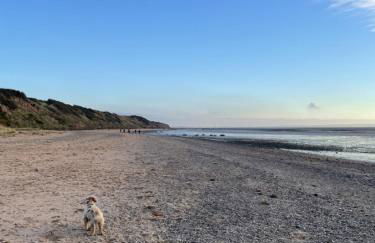 Brownhills - Foto 45