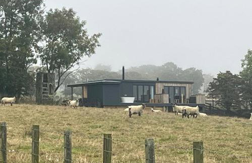 A tiny piece of heaven, stunning sea views hot tub - Foto 10
