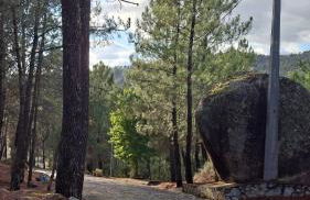 Pérola da Serra - Foto 17