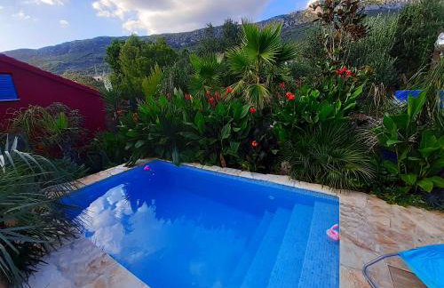 Villa Tropica, total privacy, tropical garden and private pool - Photo 56