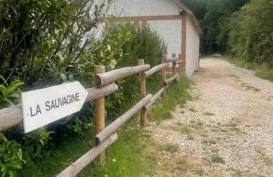 La Sauvagine - Foto 17