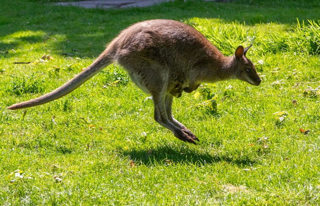 Apartment Near the Beach - Photo 18