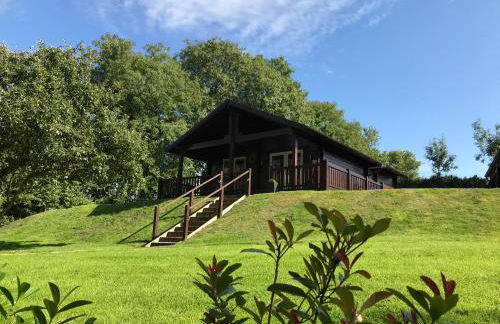 Hollybush Lodges - Foto 4