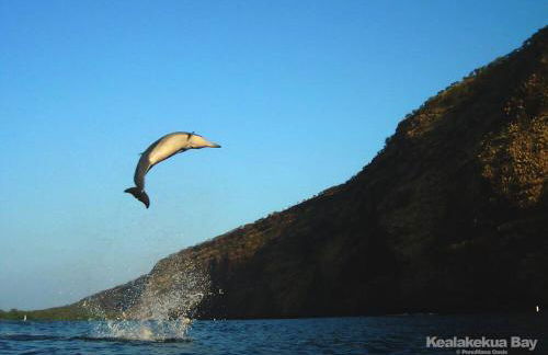 PonoMana Oasis's - Koi Cottage - Foto 39