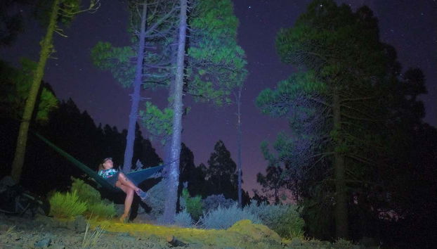 Contemplando il firmamento