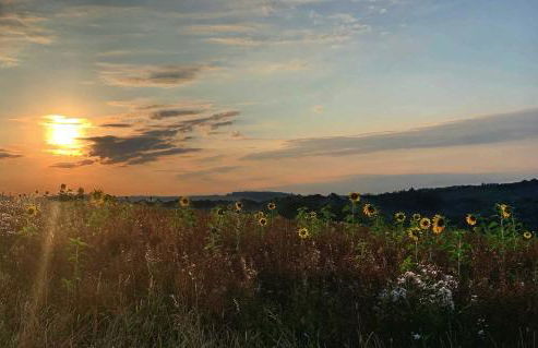 Ferienwohnung Taunusurlaub - Foto 29