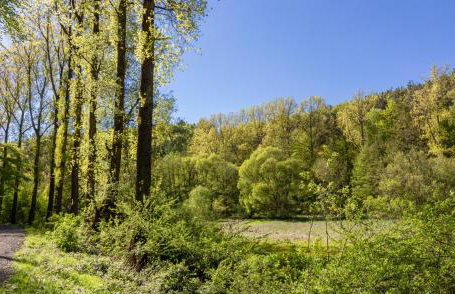 Wonderful Renovated Apartment With Great Location - Foto 41