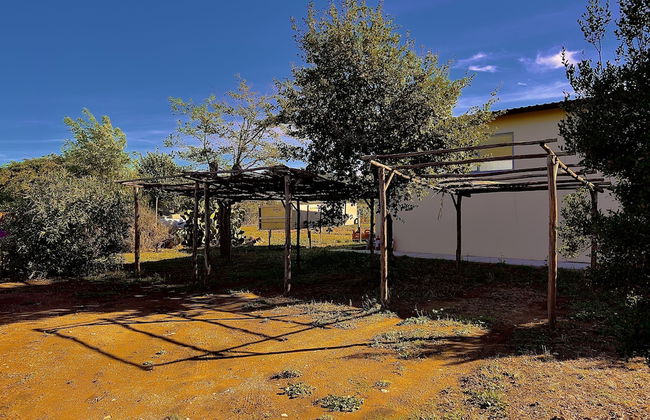 Carpine Agriturismo Bio in Maremma - Foto 45