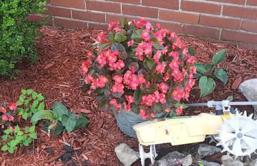 The BrickHouse on Grace - Foto 24