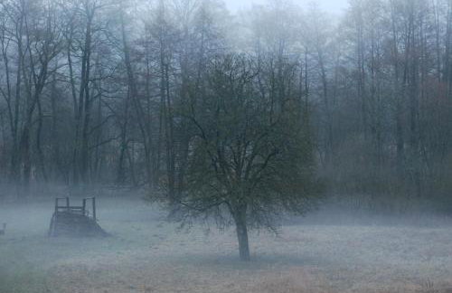 Natura Apartamenty - Foto 47