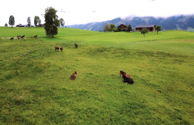 Chalet in Maria Alm Near Hochkonig Ski Lift - Foto 21