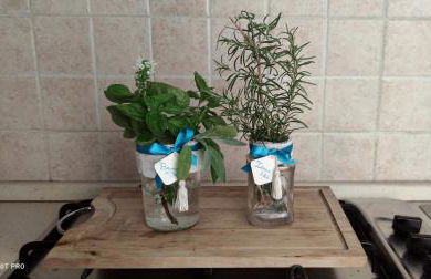 IERRE VATICANO " il piacere dell'accoglienza" - Foto 12