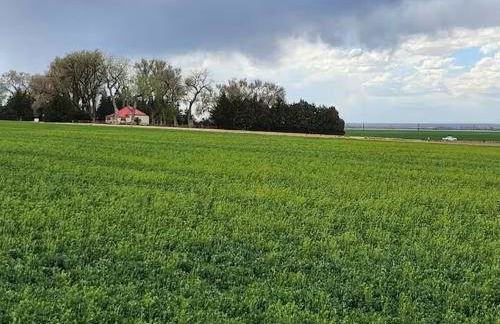 Behm's Farm - Foto 17