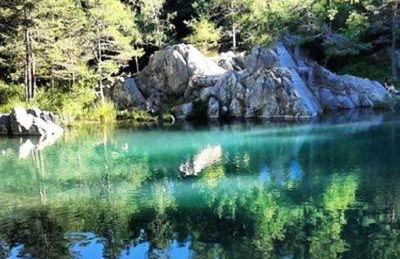 Haute-loire Tence Belle maison neuve plain-pied 4 étoiles avec parc arboré clos - Foto 20