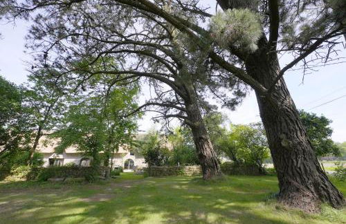 Gîte Naturia - Chaumière de Berringue - Foto 15