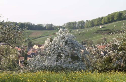 Holiday apartment with 1 bedroom - Foto 30