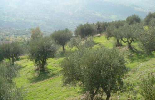 Casale Il Gheppio - Foto 9