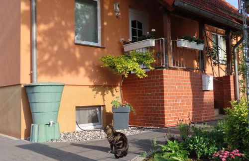 Ferienhaus Sava - Foto 3