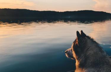 Za Lasem Nad Wodą - Foto 55