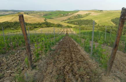 Agriturismo Mocine - Foto 32