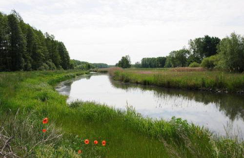 Apartments Spreewaldperle, Alt Zauche - Foto 12