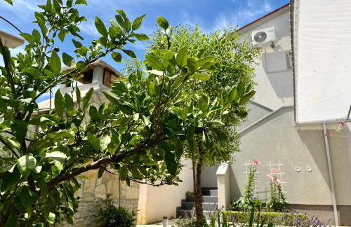 Barbariga apartments - Photo 22