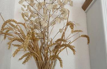 Apartman Kremen - Photo 19