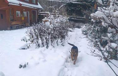 Agroturystyka u Psotki - Foto 32