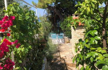 Perla & Palma - Foto 4