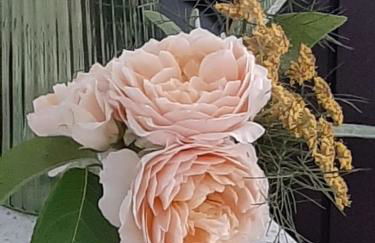 Ferienwohnung an den Leinewiesen - Photo 8